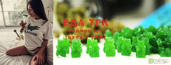 шишки Абаза