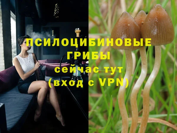 круглые Алзамай